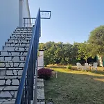 Helena * פולה