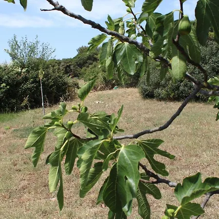 Helena Apartamento *